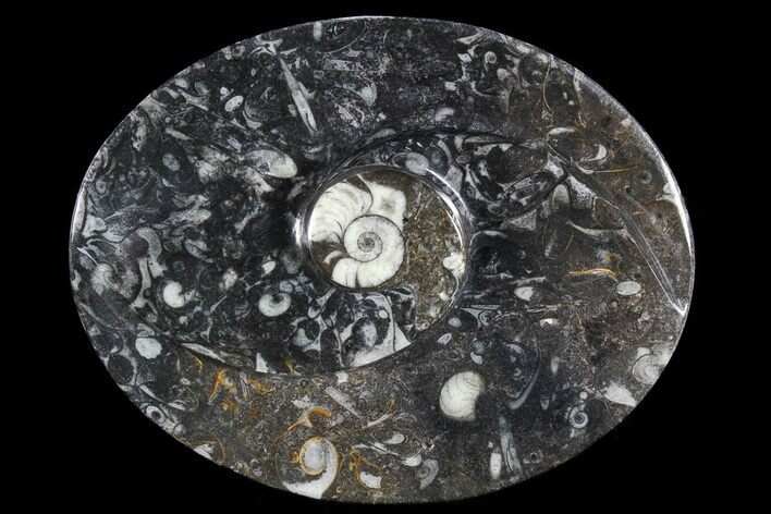 Oval Shaped Fossil Goniatite Dish #73744
